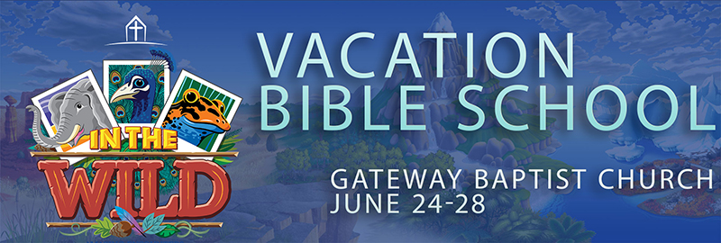 VBS2019banner-small.jpg