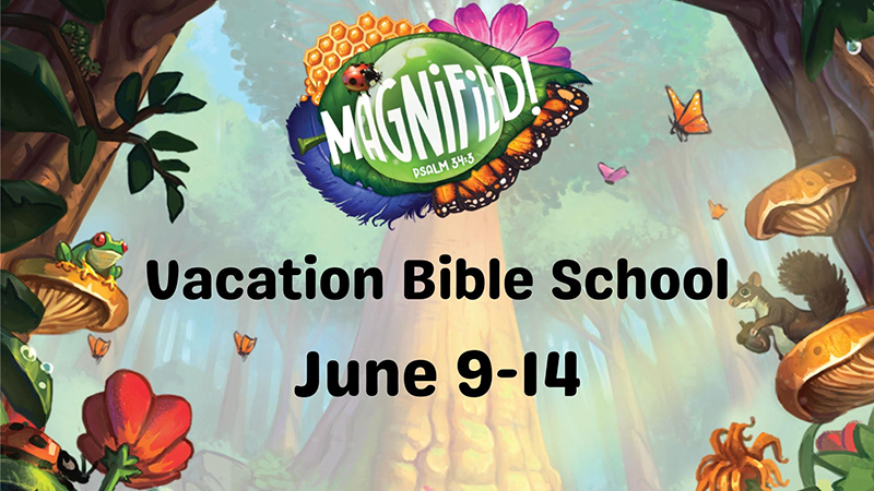VBS2025.jpg